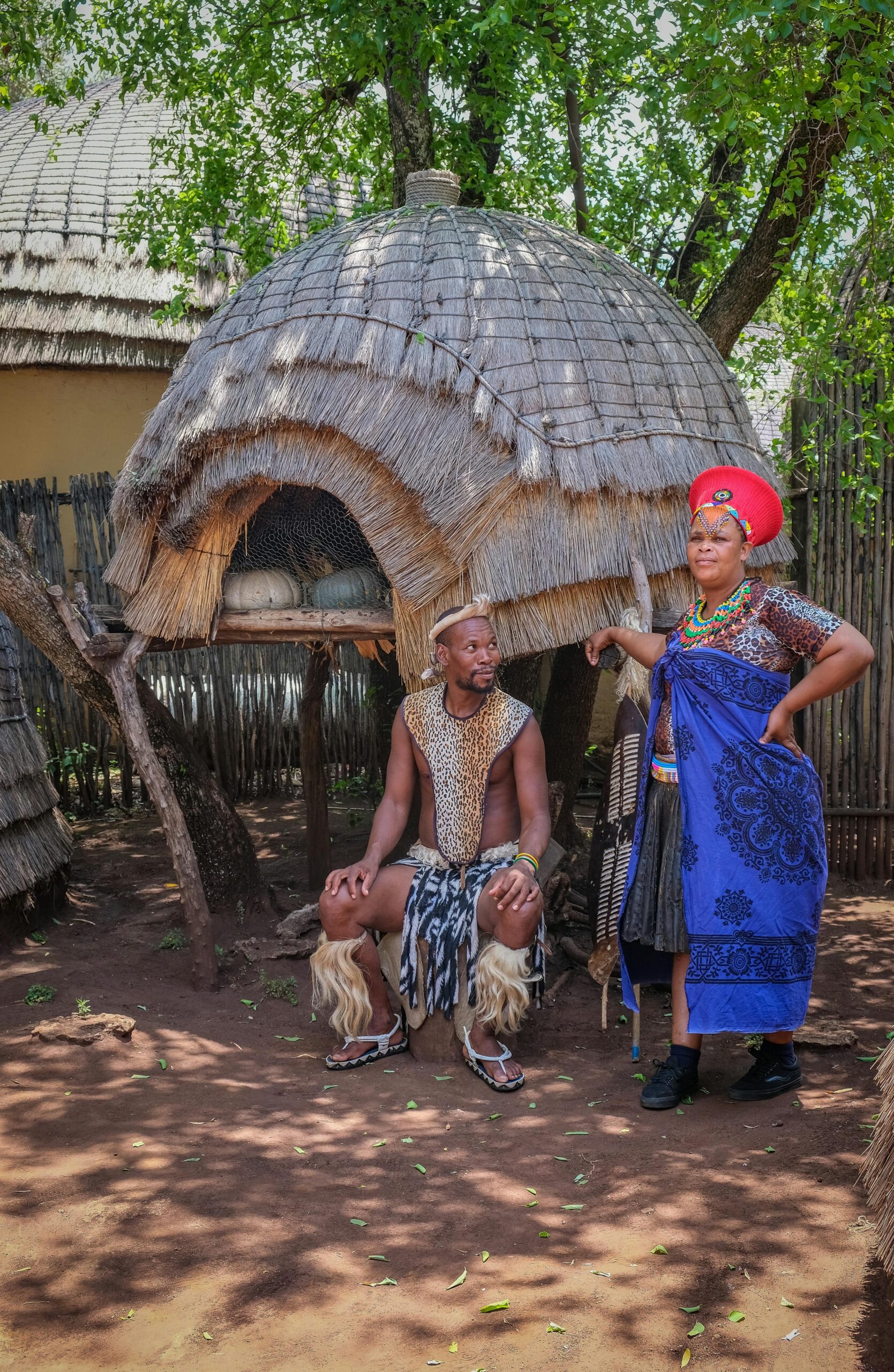A vibrant display of South African tribal attire and cultural heritage in an outdoor setting.